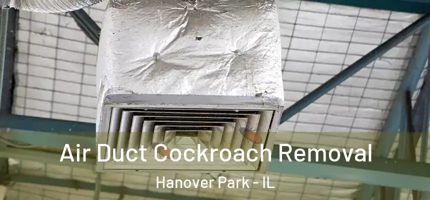  Air Duct Cockroach Removal Hanover Park - IL