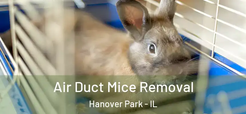 Air Duct Mice Removal Hanover Park - IL