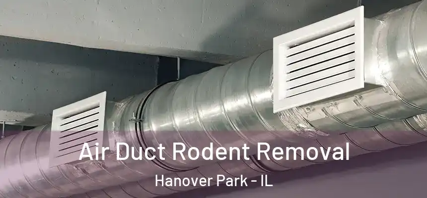  Air Duct Rodent Removal Hanover Park - IL