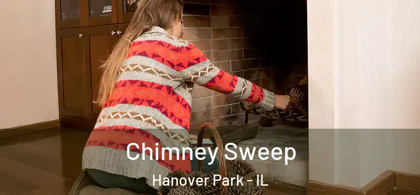  Chimney Sweep Hanover Park - IL