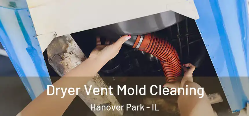 Dryer Vent Mold Cleaning Hanover Park - IL