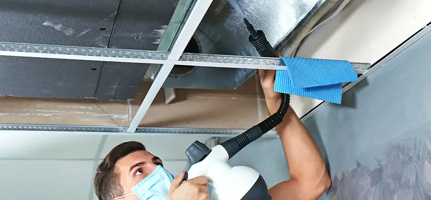 Our Air Duct Rodent Removal Services in Hanover Park, IL