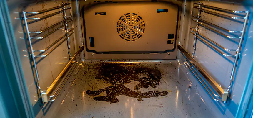 Our Dryer Vent Mold Cleaning Services in Hanover Park, IL