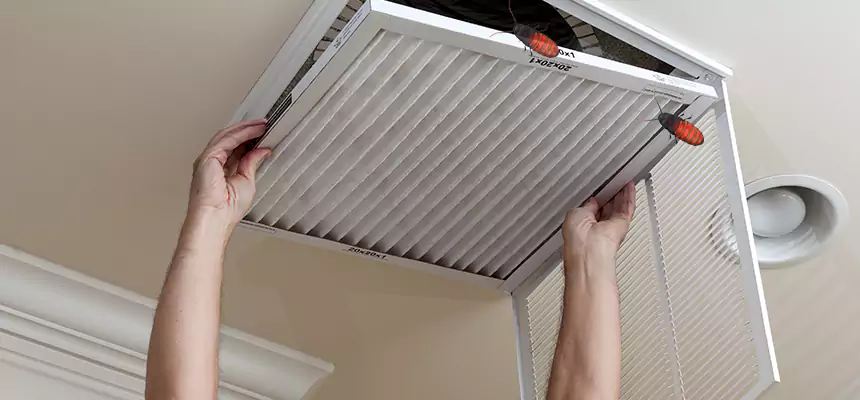 Our Insect Removal from Air Ducts Services in Hanover Park, IL