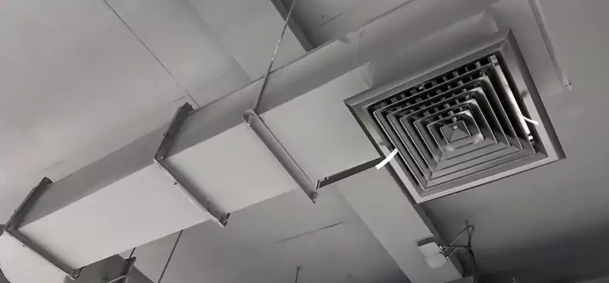 Our Pest Removal From Ducts Services in Hanover Park, IL