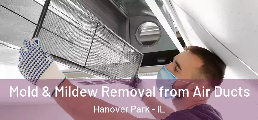 Mold & Mildew Removal from Air Ducts Hanover Park - IL
