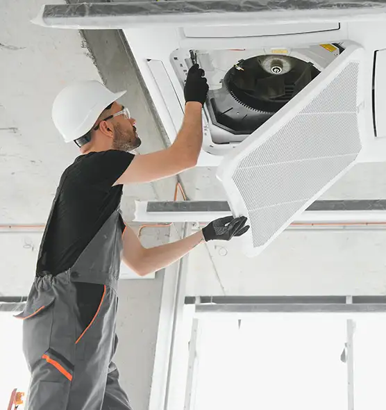 About Air Duct Rodent Removal in Hanover Park, IL