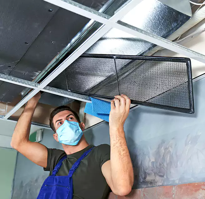 Why Homeowners Businesses Trust Us in Hanover Park, IL